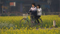 Cycling amid flower fields in Hanoi, Vietnam