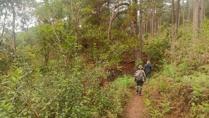 Birdwatching in Da Lat Vietnam Birdwatching in Da Lat Vietnam