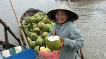 Une dame vend de l'eau de coco sur le Mékong au Vietnam