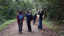 Birdwatching at Cuc Phuong National Park in Vietnam Birdwatching at Cuc Phuong National Park in Vietnam