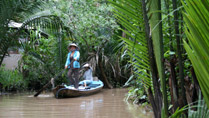 Ladies on a little rowing boat in a coconut forest at Tien Giang, Vietnam
