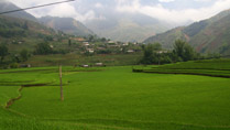 Rice terraces at Xa Ho, Tram Tau, Yen Bai