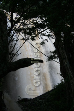 The Elephant Waterfall Dalat Vietnam