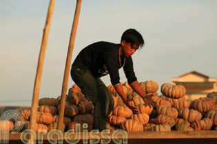 A  boat full of pumpkins at Cai Rang Floating Market in Can Tho, Vietnam