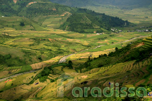 A view of Khau Pha Valley from above