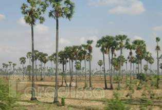 Kampong Thom Cambodia