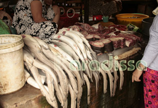 Seafood at Bac Lieu Market