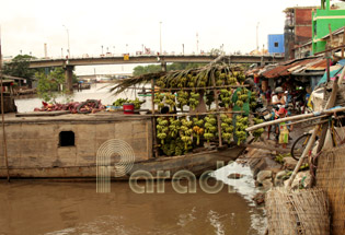 A banana boat at the market of Bac Lieu