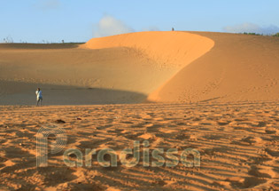 The Red Sand Dune