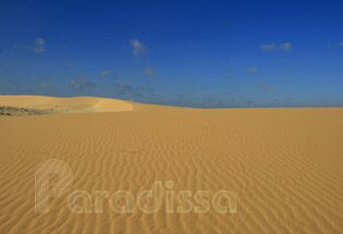 Dune de sable blanc
