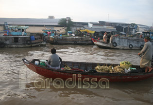 boat carrying mango & garlic from Cai Rang