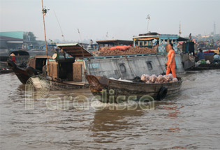 Taro boat at Cai Rang