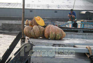 Amazing pumpkin as offering on a boat at Cai Rang Floating Market