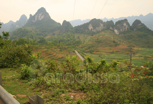 The scenic nature of Ma Phuc Pass