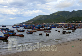 The fishing port in Nha Trang