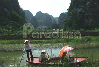 Pousser un petit bateau dans la nature de Thung Nang, Ninh Binh