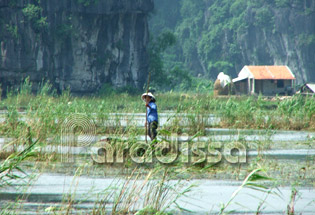 Quiet life at Thung Nang