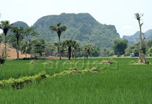 Tuyen Quang Vietnam