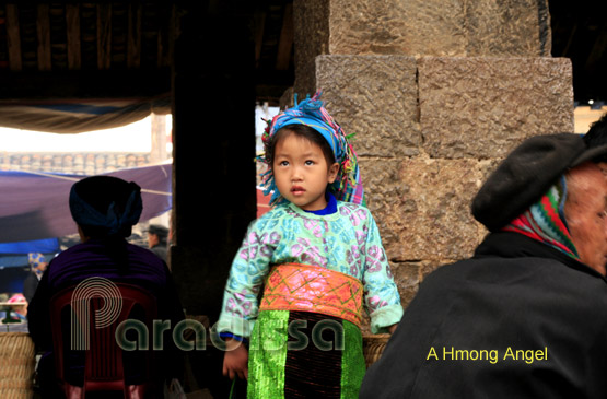A Hmong Angel at Dong Van Market