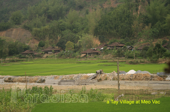 A Tay village at Meo Vac