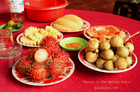 Fruits in the Mekong Delta