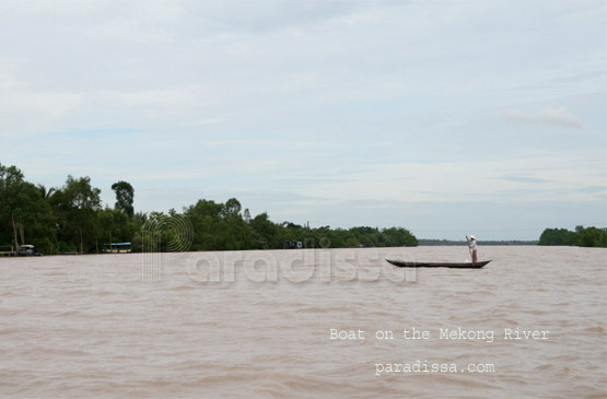 Transports dans le delta du Mékong 