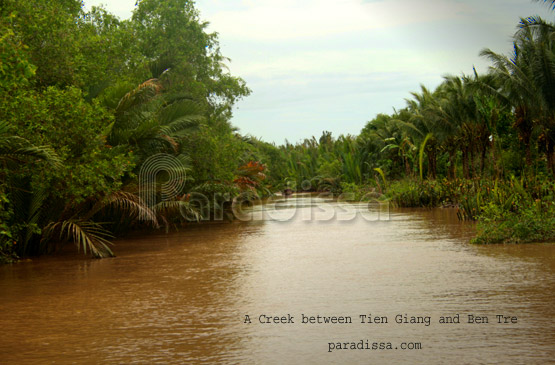 Une crique bordée de cocotiers, du fleuve Mékong 