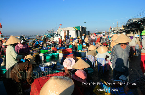 The Dong Hai Fish Market in Ninh Chu, Ninh Thuan