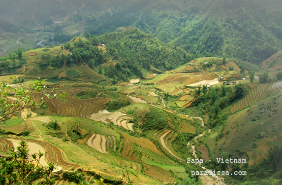 Images of Sapa Rice Terraces and Mountains