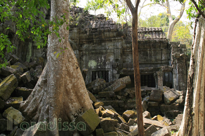 Beng Mealea Temple, Cambodia