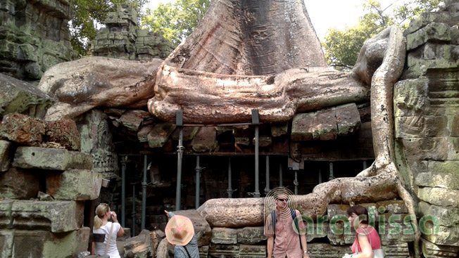 Huge tree roots at the Ta Prohm Temple, Siem Reap, Cambodia