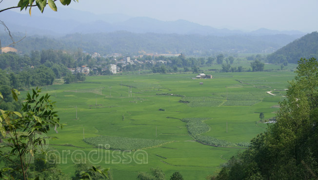 Rice paddies outside Bac Kan Town