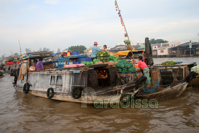 Le marché flottant de Cai Rang, Can Tho, Vietnam