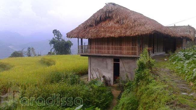 A homestay mid heavenly landscape at Hoang Su Phi, Ha Giang Province