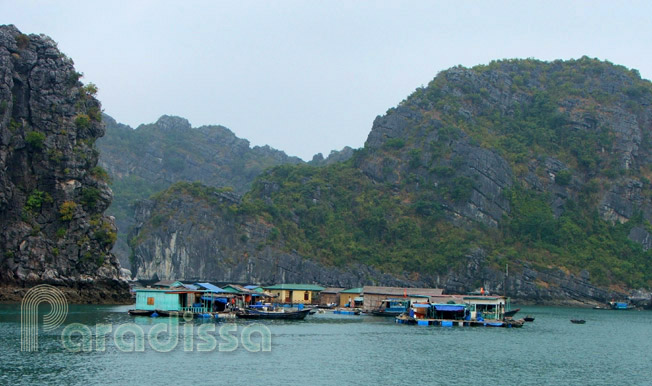 Floating houses near the Cat Ba Island in Hai Phong Vietnam