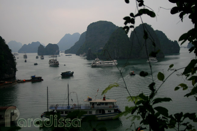 Luxury cruise boats on Halong Bay Vietnam
