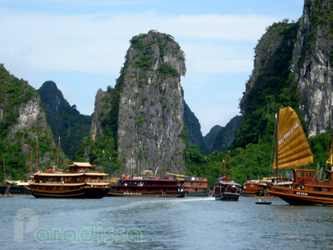 Boats in front of the Surprise Cave, Halong Bay