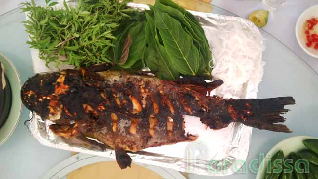 Grilled fish with herbs