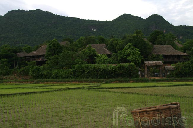 A luxury hotel amid rice fields and mountains at Mai Chau