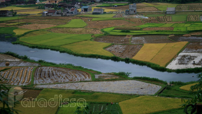 Stunning rice fields at the Bac Son Valley in the eponymous district, Lang Son Province