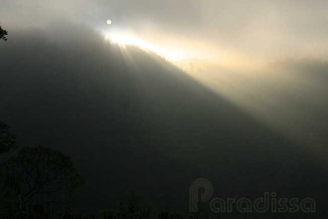 Sun shines through the fog on the top of the Khau Pha Pass