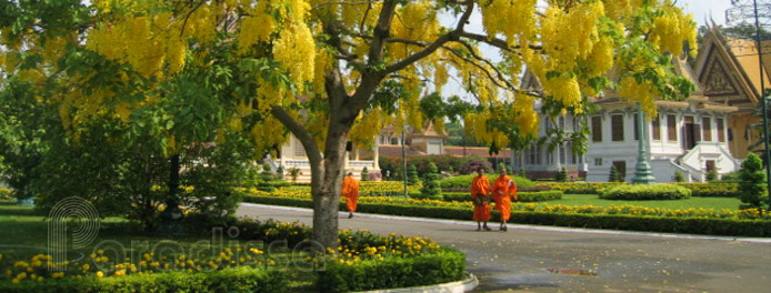 Buddhist monks at the Silver Pagoda