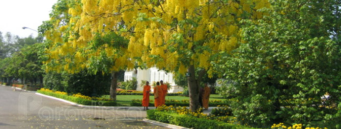 Buddist monks at the Royal Palace