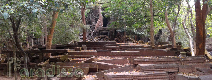 The forgotten temple of Beng Mealea, Cambodia