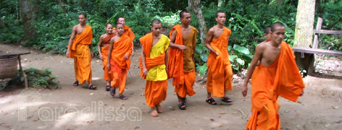 Moines bouddhistes à Luang Prabang