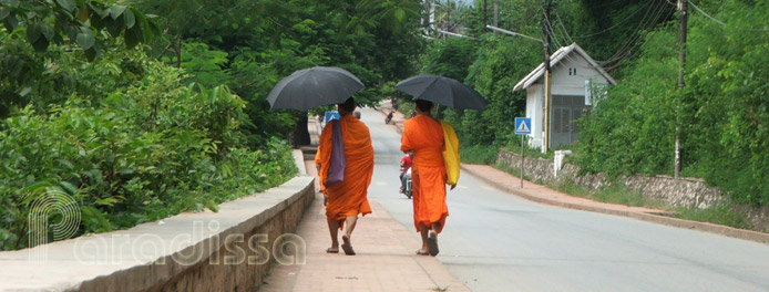 Buddhist monks on a street at Luang Prabang