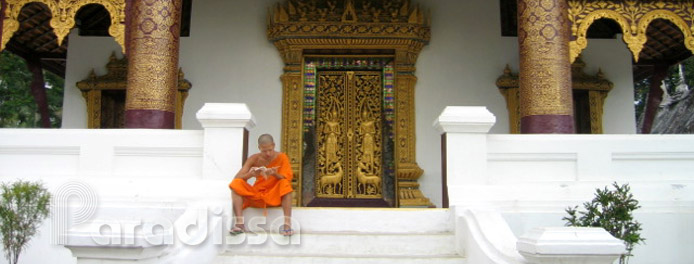A little monk reading at Luang Prabang