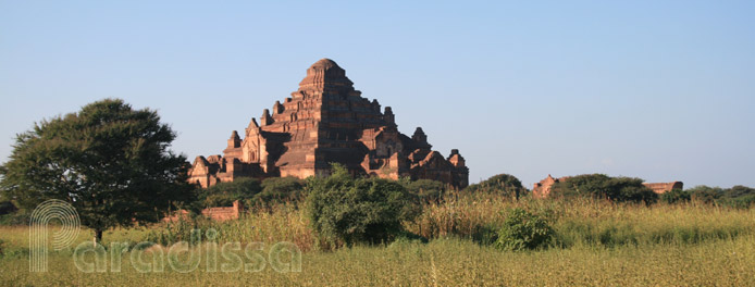 Temple Dhamayangyi à Bagan