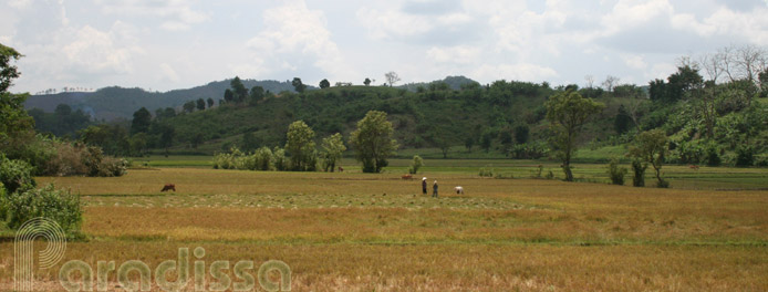 The countryside at Binh Phuoc Province, Vietnam