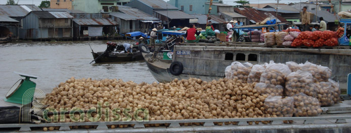 Le marché flottant de Cai Rang à CanTho